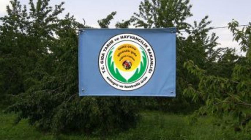 Tarımda 'mavi bayrağa' Birleşmiş Milletler desteği