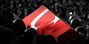 Askeri ara&ccedil; kazasında Albay Sayit G&ouml;kg&ouml;z şehit oldu