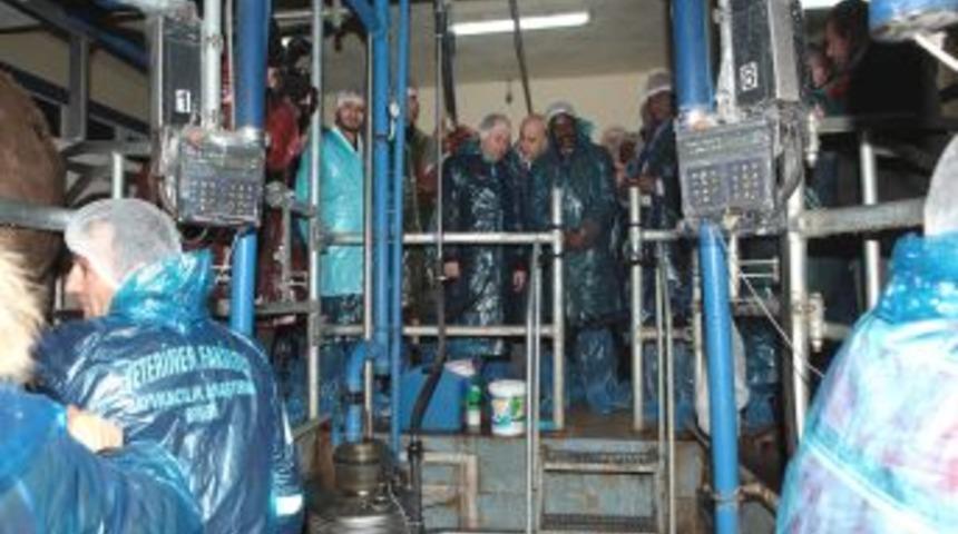 Ganalı bakan, A&Uuml;'de uygulama ahır ve hayvan sağım &uuml;nitelerini gezdi