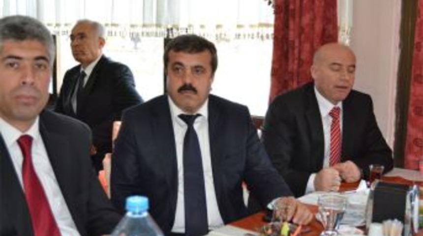 MODER 2 bin fidan dikecek