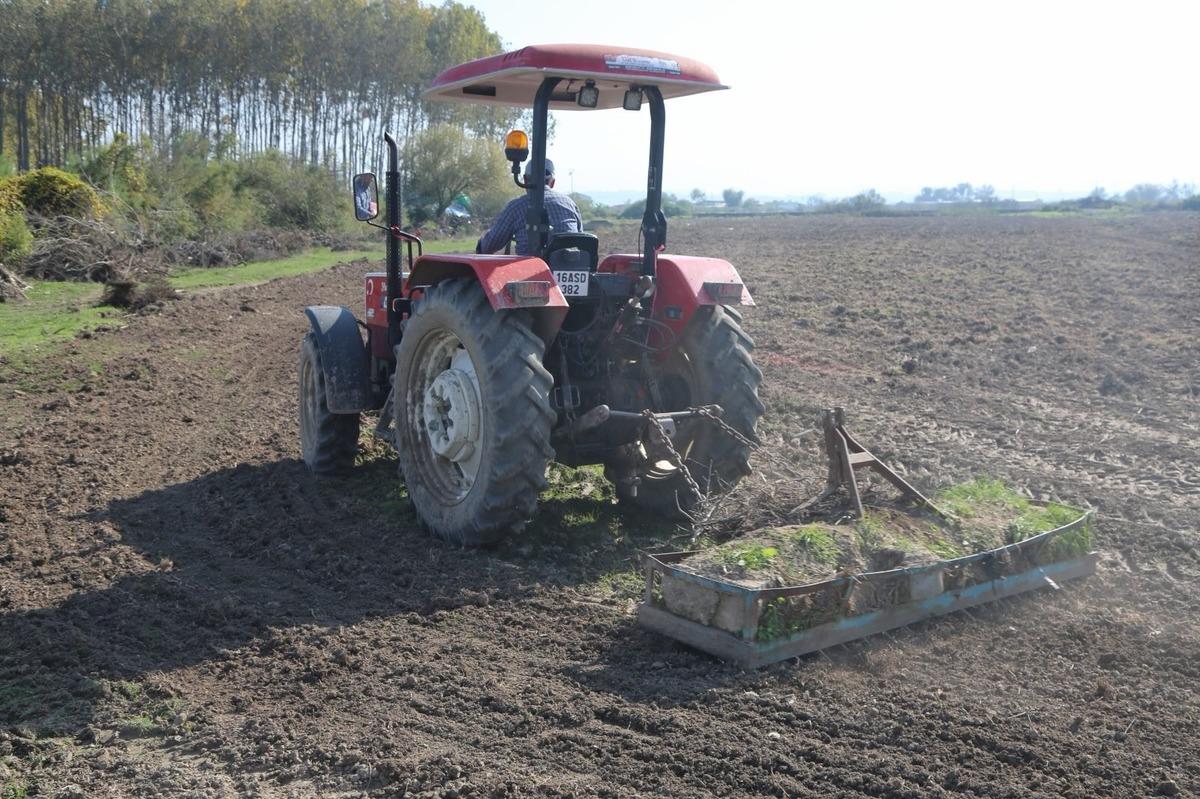 Bursa’da yapay mera projesi! İlk ekim gerçekleştirildi 1