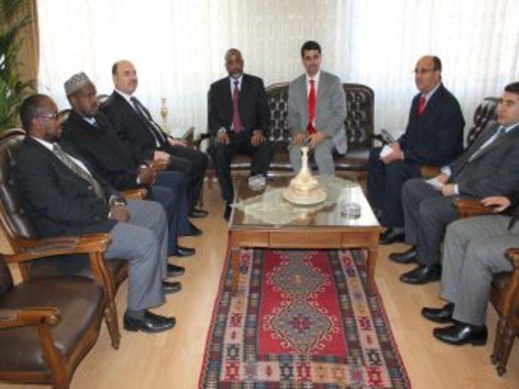 Ankara Dogu Sandalye Posts Facebook