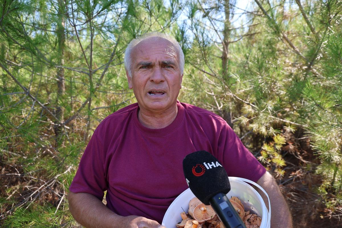 Orman doldu taştı, akın ettiler: Kilosu 300 TL  20 yıldır yoktu  4