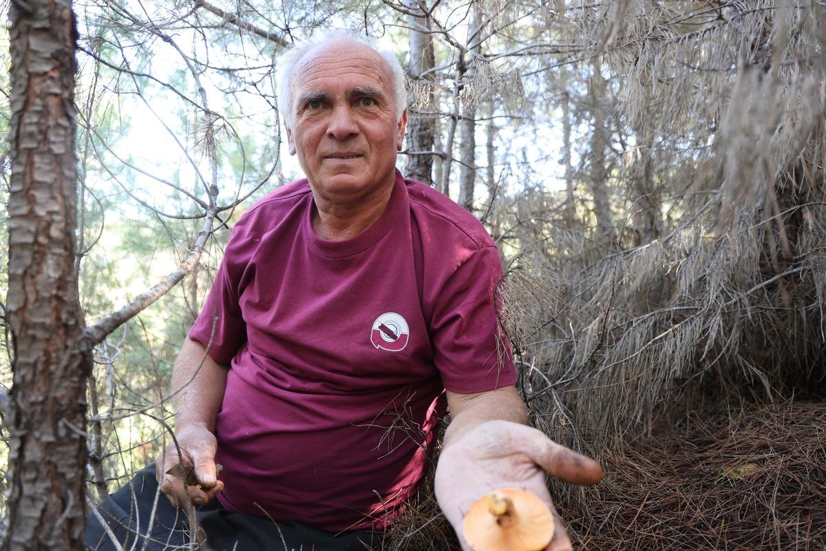 Orman doldu taştı, akın ettiler: Kilosu 300 TL  20 yıldır yoktu  6