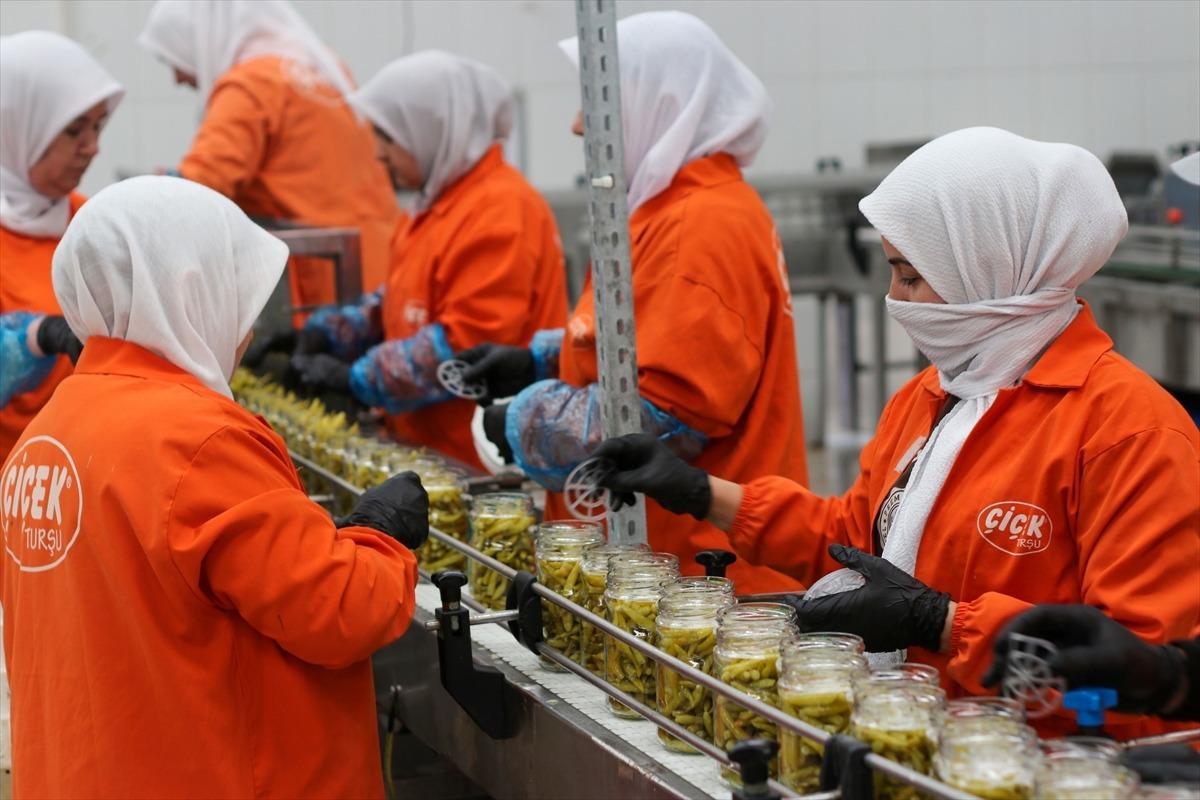T&uuml;rkiye nin 9 aylık turşu ihracatı 301 milyon doları aştı 4