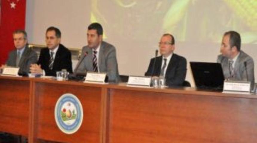 Karacabey'de mısır tarımı ele alındı