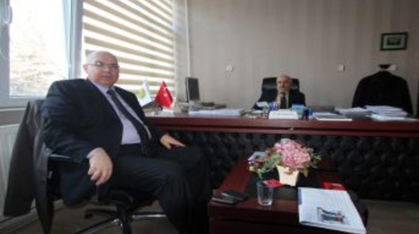 Sakız koyunu ıslah edilecek