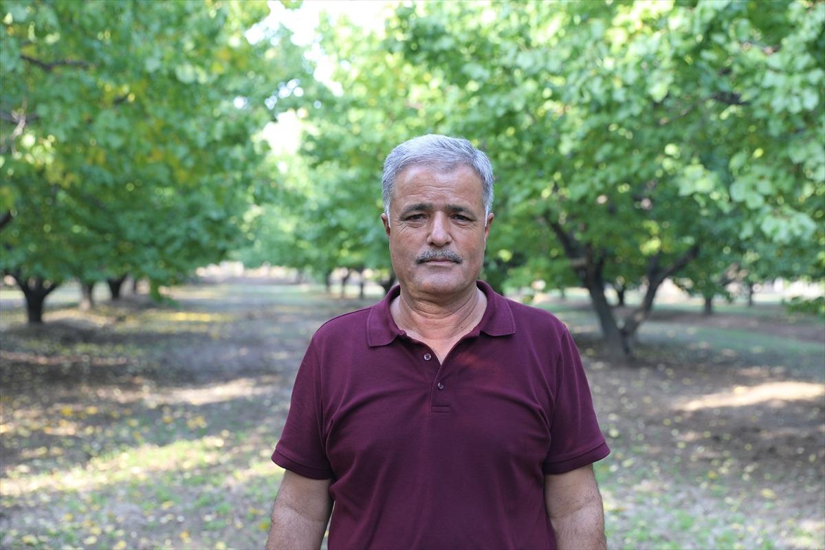 Emekli olduktan sonra başladı! 16 yılda ağaç sayısını 7’ye katladı 4