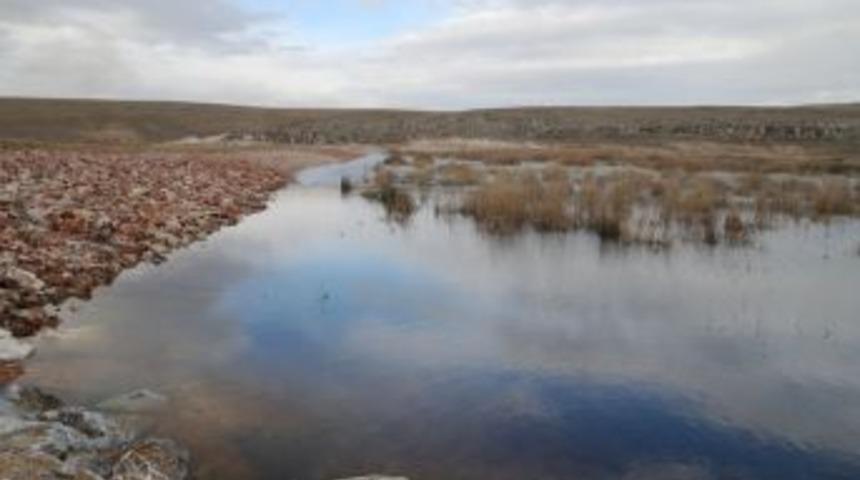 Koruma ve geliştirme &ccedil;alışmalarıyla Akg&ouml;l kurumaktan kurtuldu
