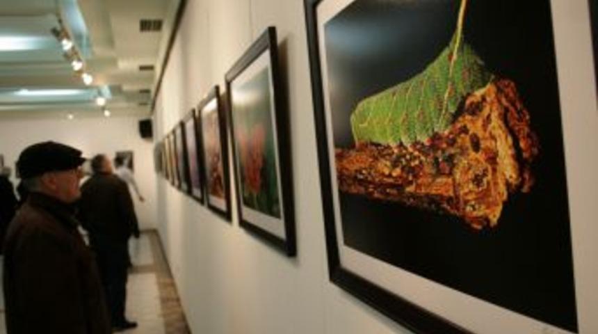 7 yaşında kolu ve 4 parmağını kaybetti, engelli &ouml;ğrencileriyle sergi a&ccedil;tı