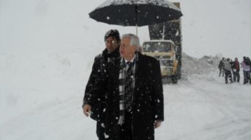 Muş Belediyesi g&uuml;nde 180 kamyon kar taşıyor