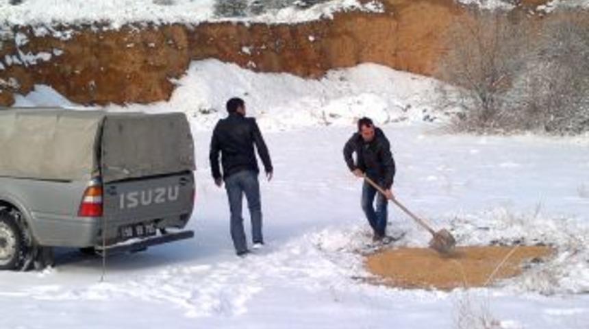 Yabani hayvanlara yem