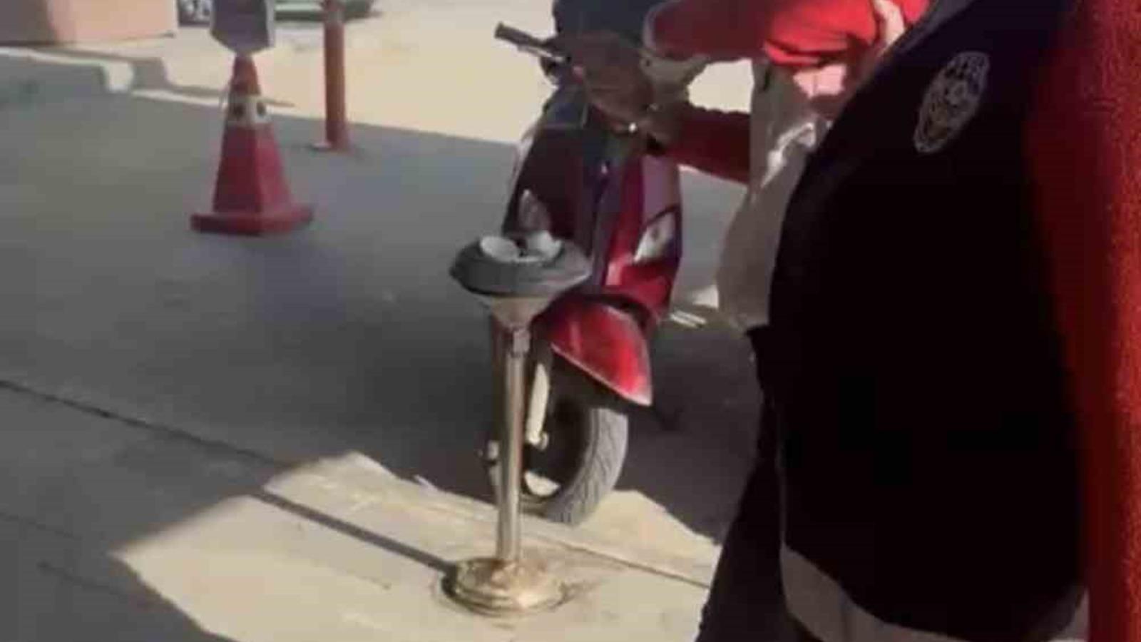 Kediye taşla vuran kadın yakalandı
