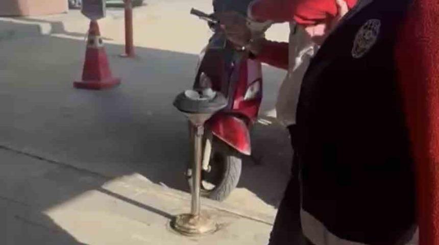 Kediye taşla vuran kadın yakalandı