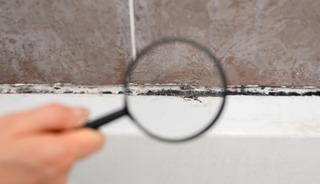 Banyo derzlerin arası siyah kalıyorsa sebebi bu olabilir!