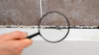 Banyo derzlerin arası siyah kalıyorsa sebebi bu olabilir!