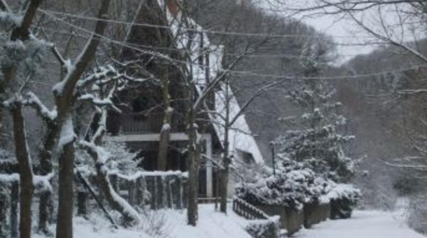 Belgrad ormanlarında kar keyfi