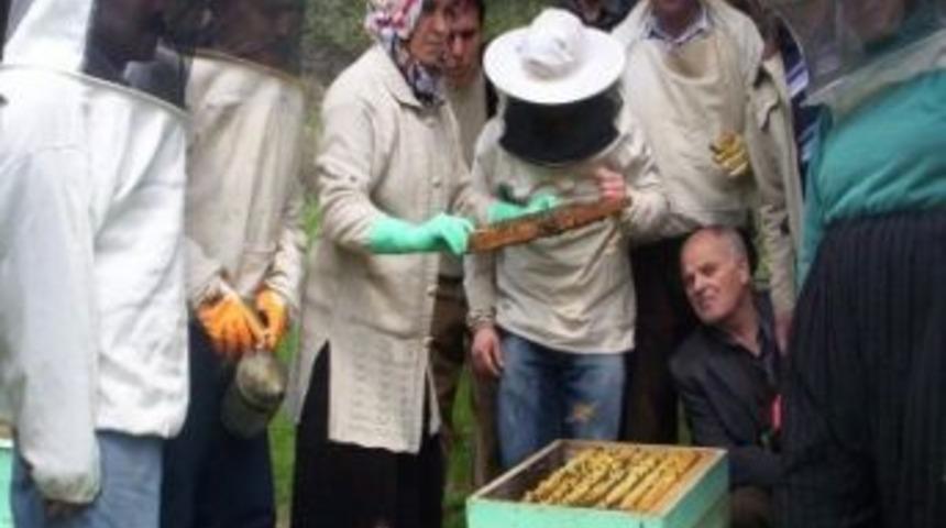 Sertifikalı arıcılık kursları ilgi g&ouml;r&uuml;yor