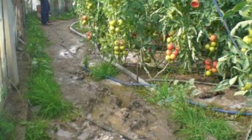 Ova beldesinde seraları su bastı