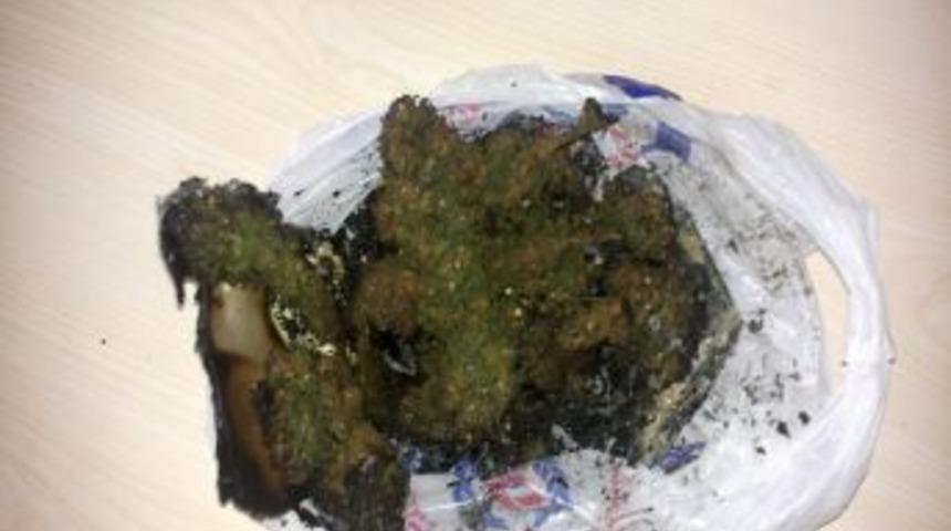 Adıyaman'da uyuşturucu operasyonunda 9 g&ouml;zaltı