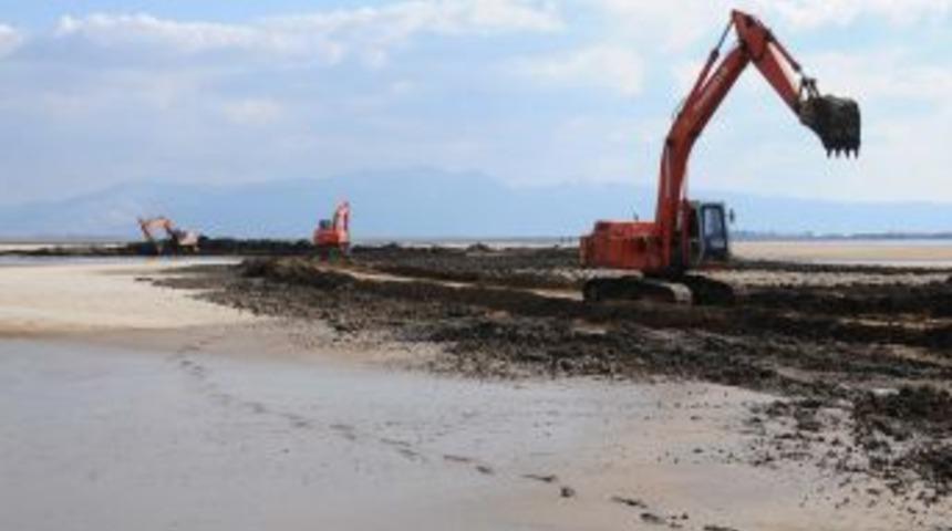 D&uuml;nyanın en b&uuml;y&uuml;k &uuml;&ccedil;&uuml;nc&uuml; flamingo adası İzmir'de kuruluyor