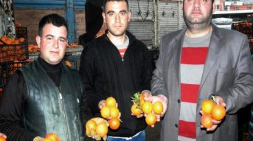 Soğuk hava hal esnafını da olumsuz etkiledi