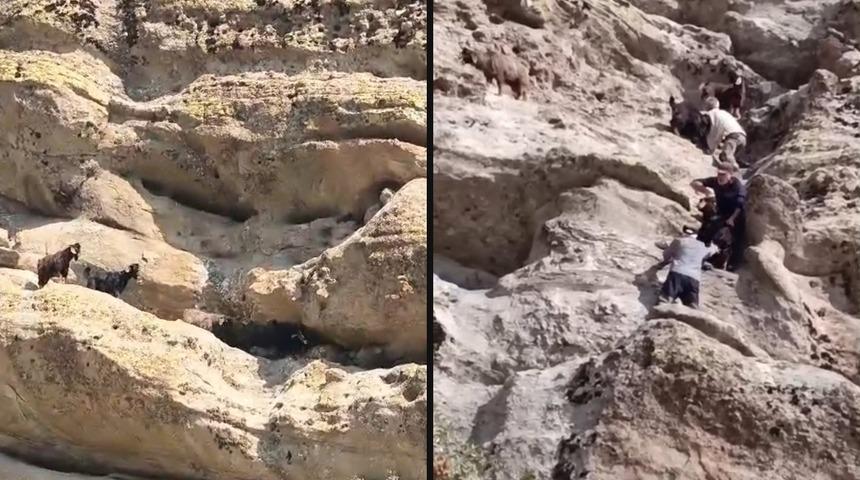 70 metre y&uuml;kseklikte mahsur kalan ke&ccedil;iler b&ouml;yle kurtarıldı!