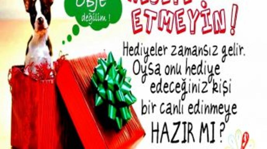 "Sevdiklerinize hayvan hediye etmeyin"