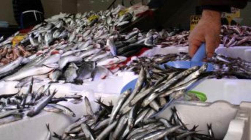 Lodos, Karadeniz&rsquo;i terk etti, balık fiyatları normale d&ouml;n&uuml;yor