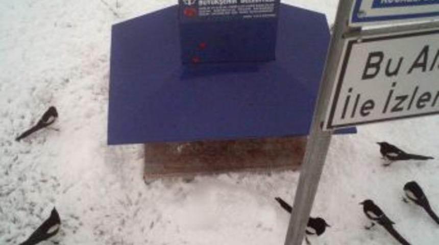 Yem Pati'ler kuşları da doyuruyor