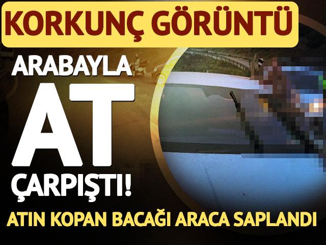 Arabayla at &ccedil;arpıştı! Atın kopan bacağı araca saplandı