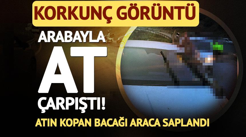 Arabayla at &ccedil;arpıştı! Atın kopan bacağı araca saplandı