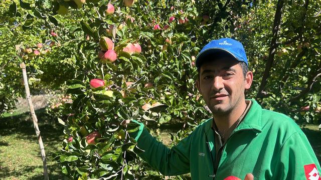 Türkiye’de yalnızca burada yetişiyor! 6 ay bozulmuyor: Raf ömrünün sırrı kabuğunda