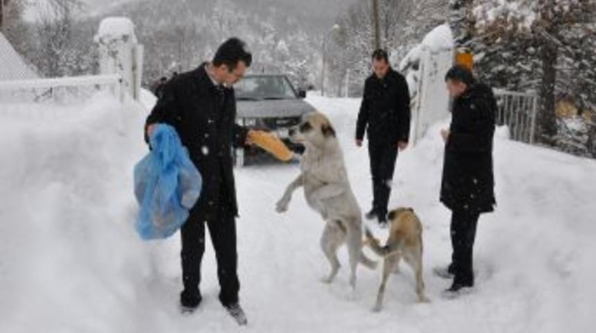 Karag&ouml;l'e sahipsiz k&ouml;pekler i&ccedil;in ekmek bırakıldı