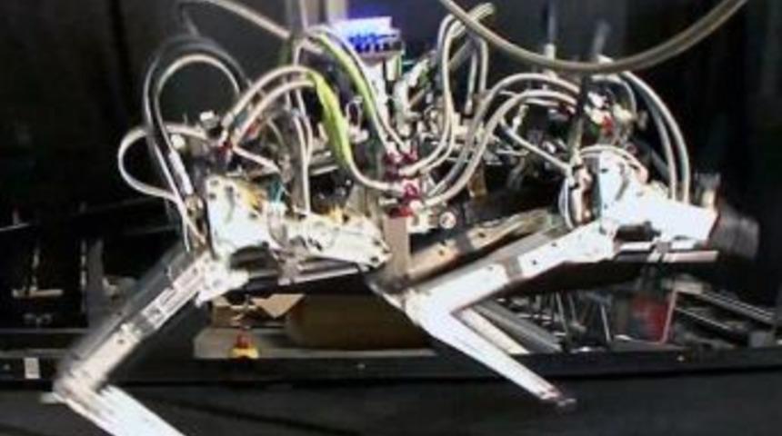 Koşan robot &lsquo;&Ccedil;ita&rsquo; hız rekoru kırdı