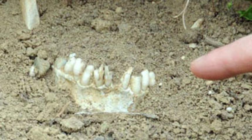 Şehitlerin kemikleri toprak üstüne çıktı