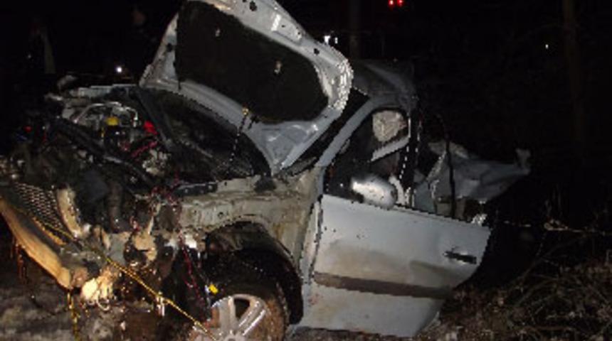 Yola &ccedil;ıkan at, 2 cana mal oldu