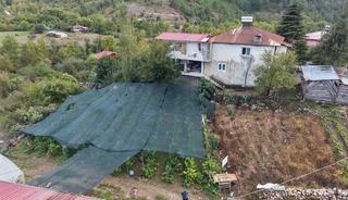 B&ouml;lgede ilk o yetiştirdi! Kilosunu 500 liradan satıyor