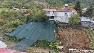 Bölgede ilk o yetiştirdi! Kilosunu 500 liradan satıyor