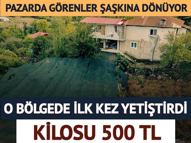 B&ouml;lgede ilk o yetiştirdi! Kilosunu 500 liradan satıyor