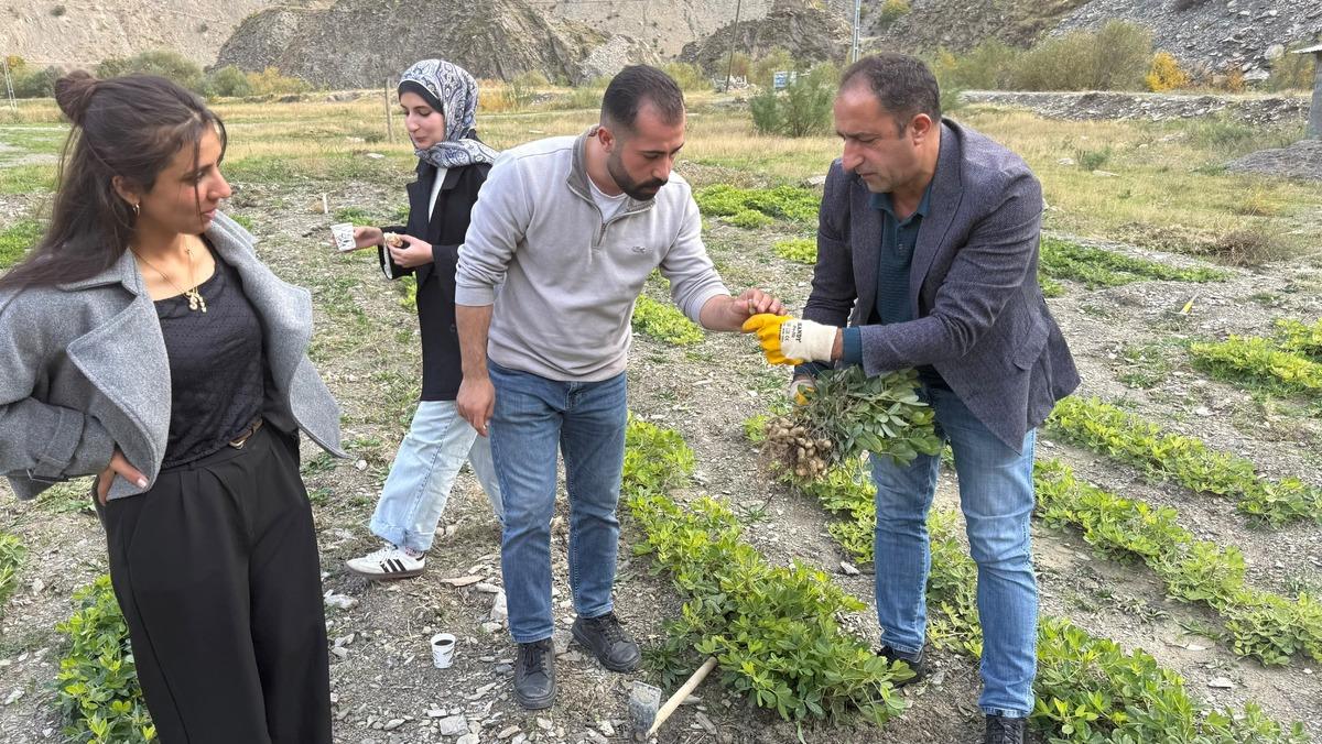 Hakkari de bir ilk: Bin 350 rakıma elleriyle ektiler! 2