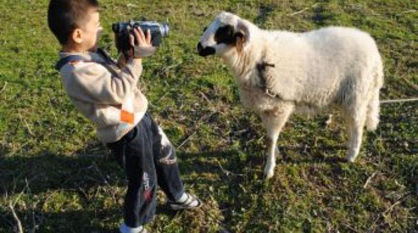 Cemre toprağa d&uuml;şt&uuml;, &ccedil;ifti tohum atımına başladı