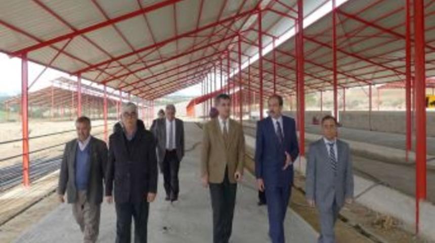 K&ouml;yl&uuml;n&uuml;n y&uuml;z&uuml;n&uuml; g&uuml;ld&uuml;recek hayvancılık projesi