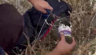 Kafası konserve kutusuna sıkışan kediye itfaiyeden yardım eli