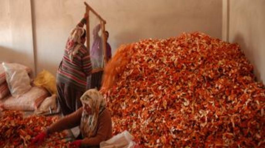 Kabuğu meyvesinin 7 katı pahalı