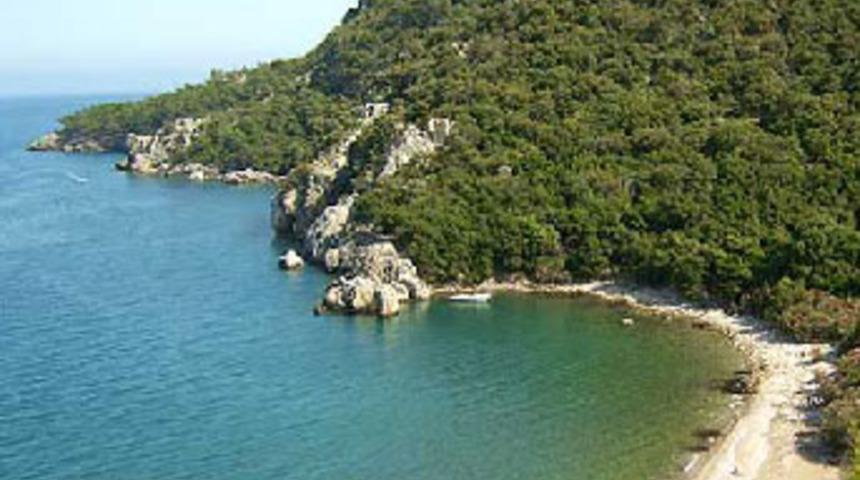 'Cennete tel &ouml;rg&uuml;' tepkisi