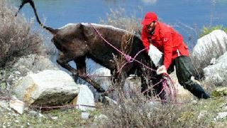Nefes kesen kurtarma operasyonu