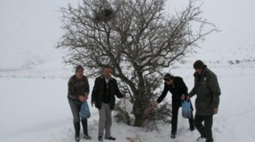 Avcılar doğal hayata yem bıraktı