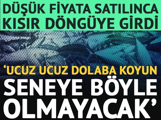 D&uuml;ş&uuml;k fiyata satılınca kısır d&ouml;ng&uuml; oldu: Ucuz ucuz dolaplara koyun