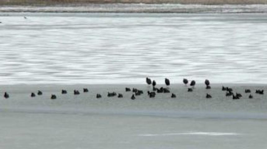 PAÜ öğrencileri Denizli’de kuş sayımı yaptı